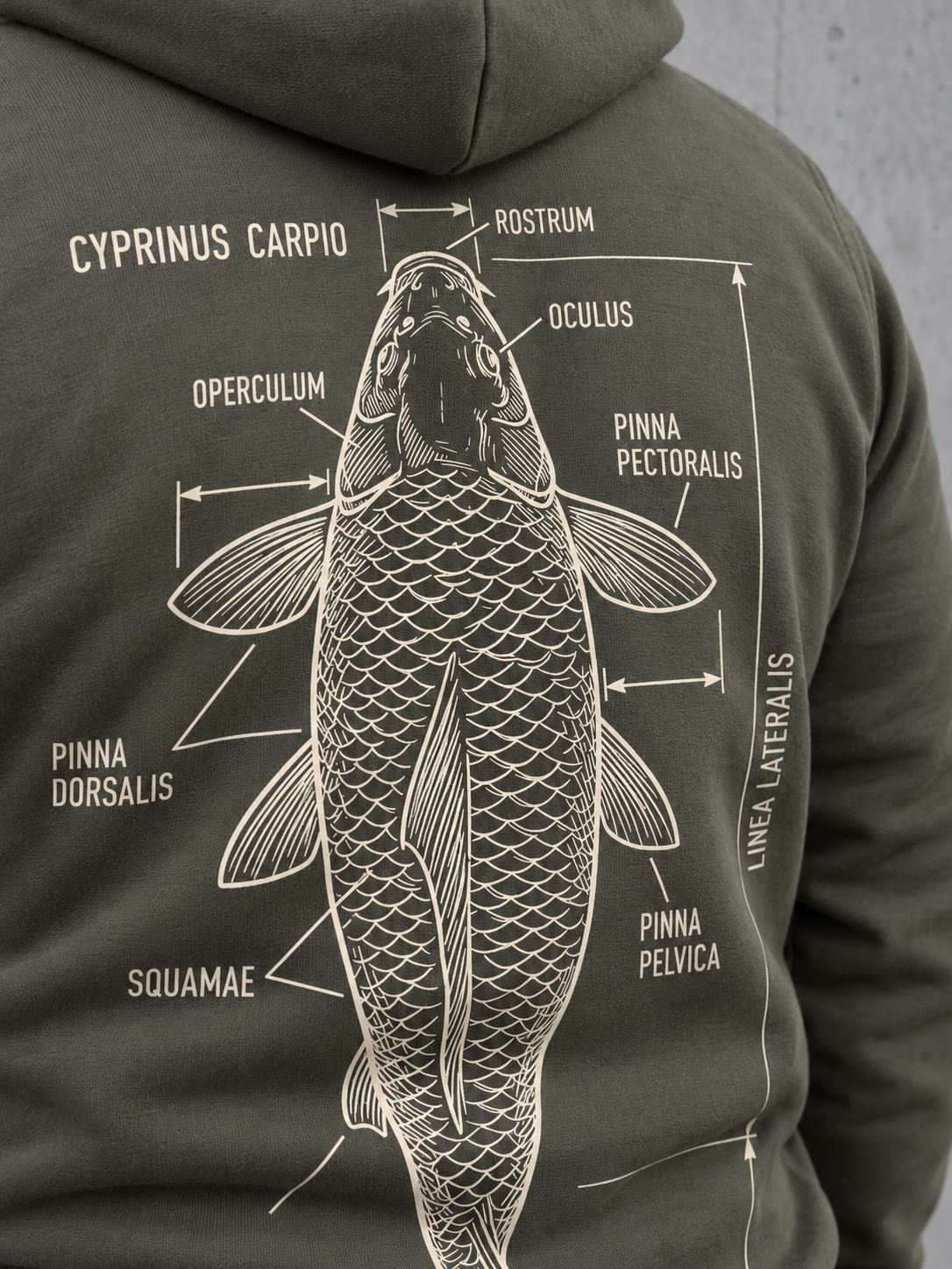 CYPRINUS CARPIO Hoodie Organic Khaki – worn-back-print-macro #farbe_organic khaki