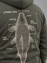CYPRINUS CARPIO Hoodie Organic Khaki – worn-back-print-macro #farbe_organic khaki
