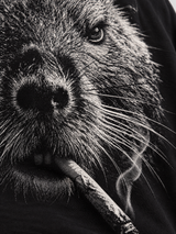 carpstylez SILT & SMOKE NUTRIA NS305 Shirt Schwarz – Druckdetail Rücken #farbe_schwarz
