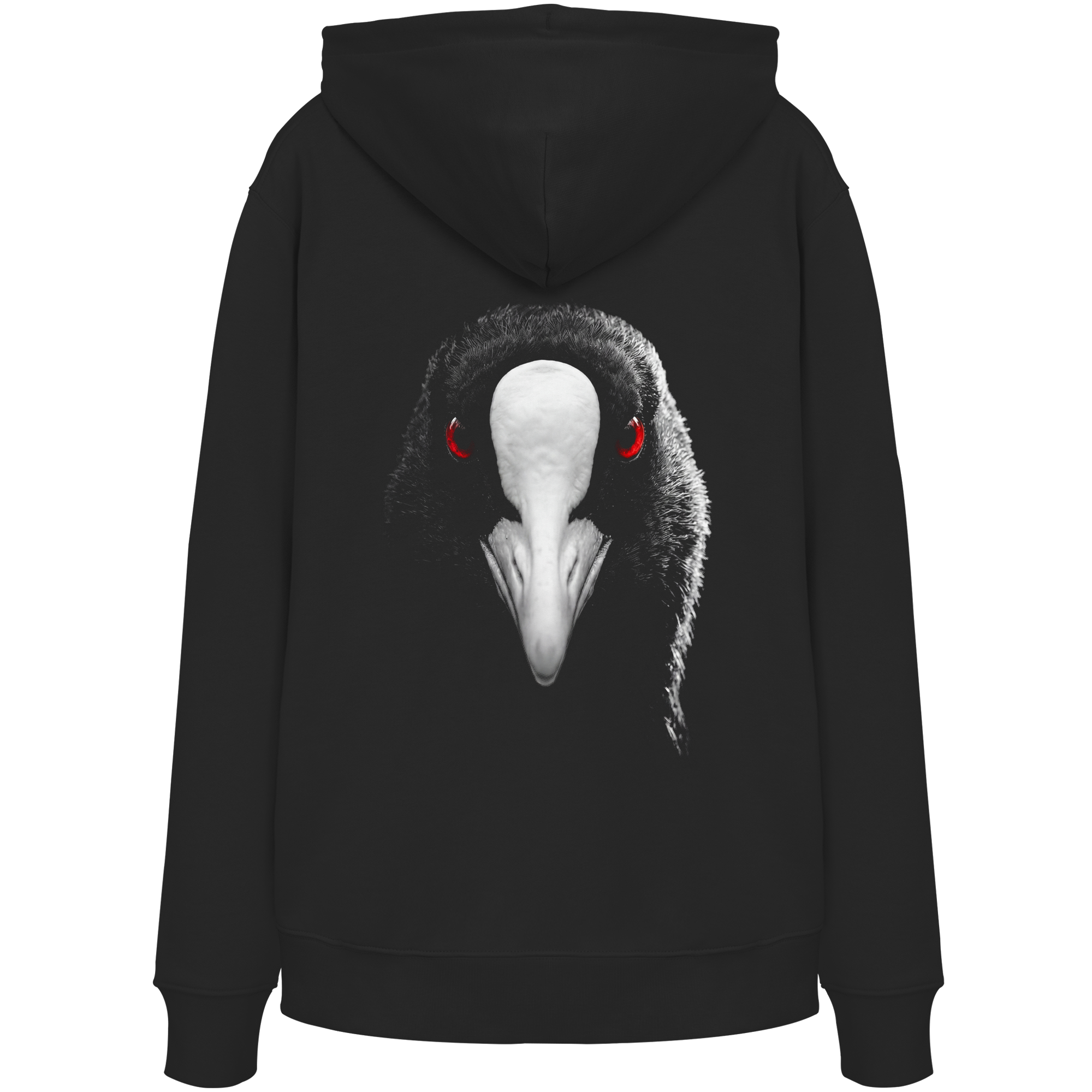 carpstylez „Blackwater Coot“ Hoodie schwarz – Rückenansicht aus Bio-Baumwolle