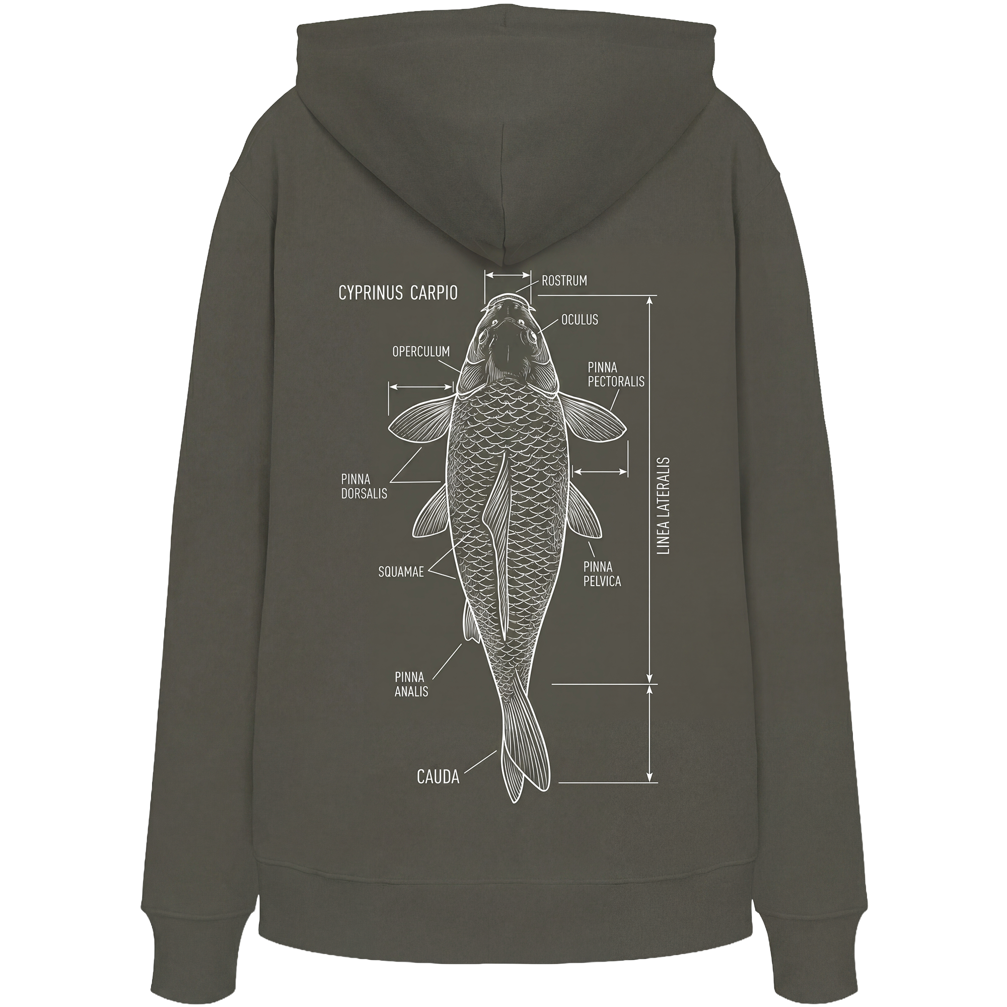 carpstylez „Cyprinus Carpio“ Hoodie khaki – Rückenansicht aus Bio-Baumwolle
