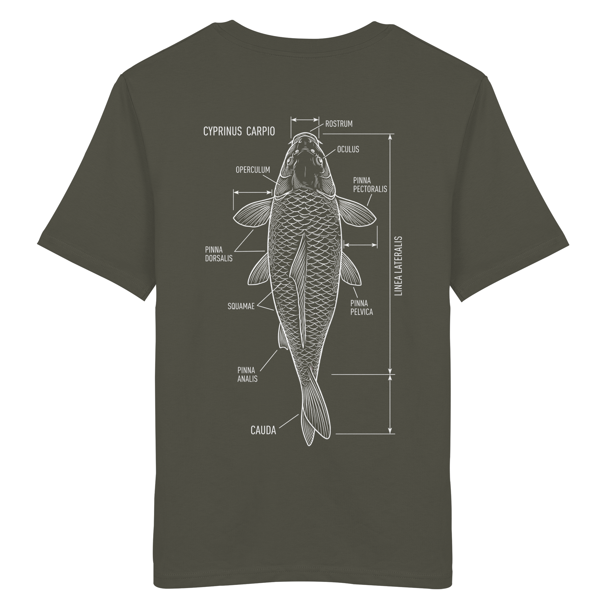 CYPRINUS CARPIO Shirt