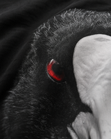 carpstylez Blackwater Coot Shirt – Print-Detail #farbe_black