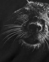 carpstylez Blackwater Nutria Hoodie – Detailansicht #farbe_black