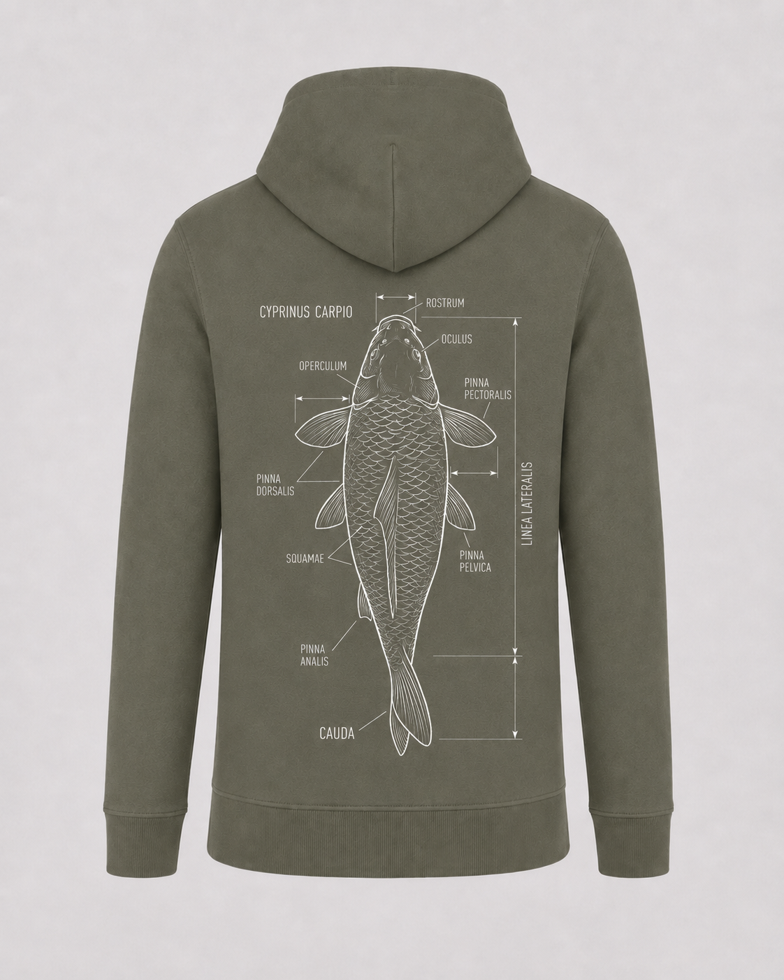 carpstylez Cyprinus Carpio Hoodie – Backprint, khakifarbener Karpfen-Hoodie