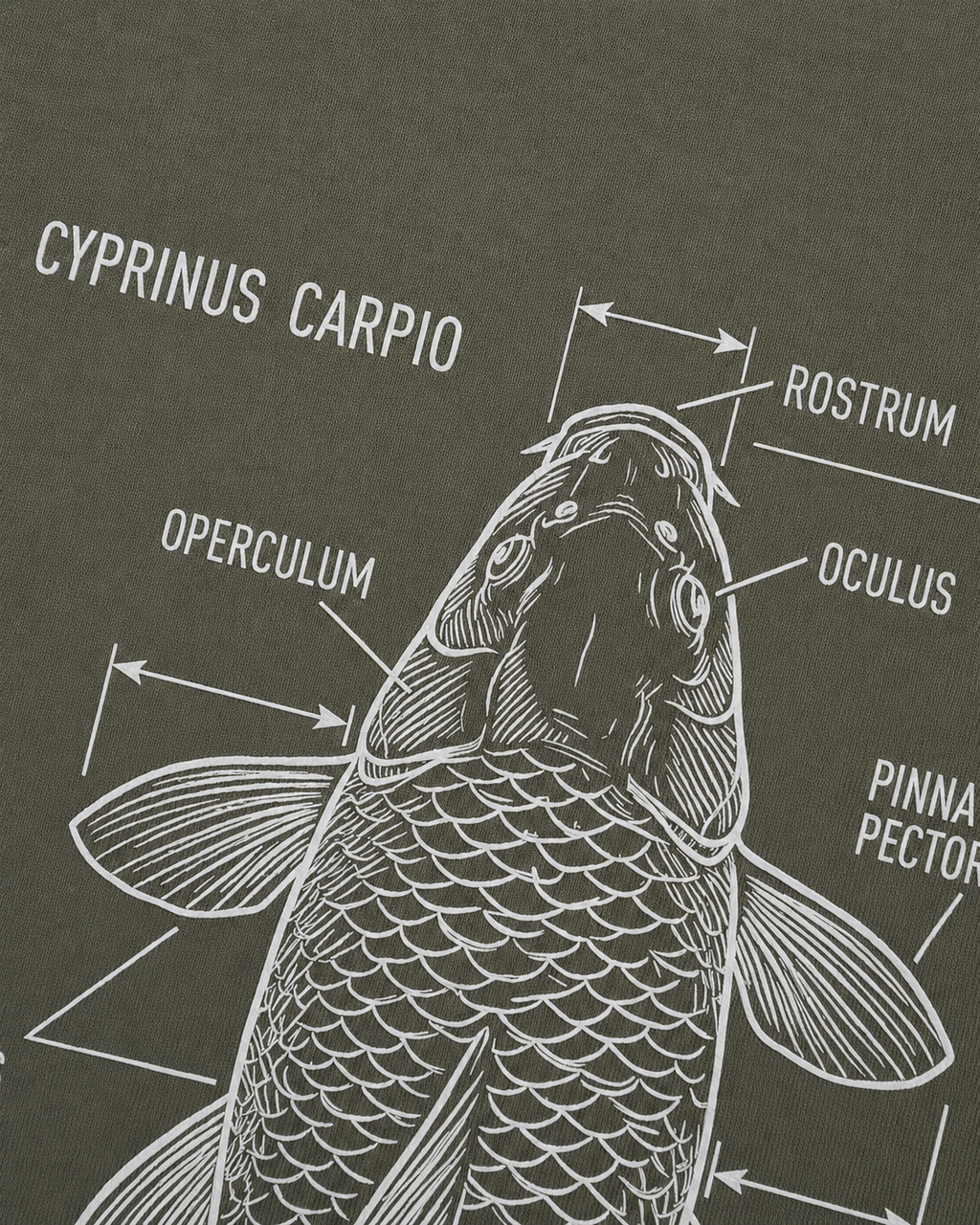 carpstylez Cyprinus Carpio Hoodie – Detailansicht