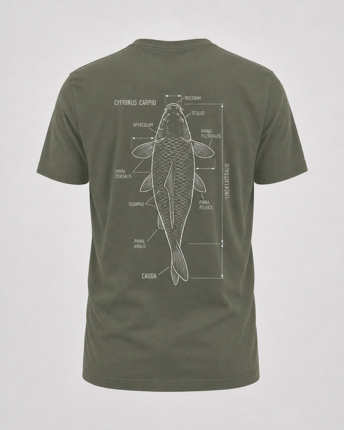 carpstylez Cyprinus Carpio Shirt – Backprint, khakifarbenes Karpfen-Streetwear Shirt