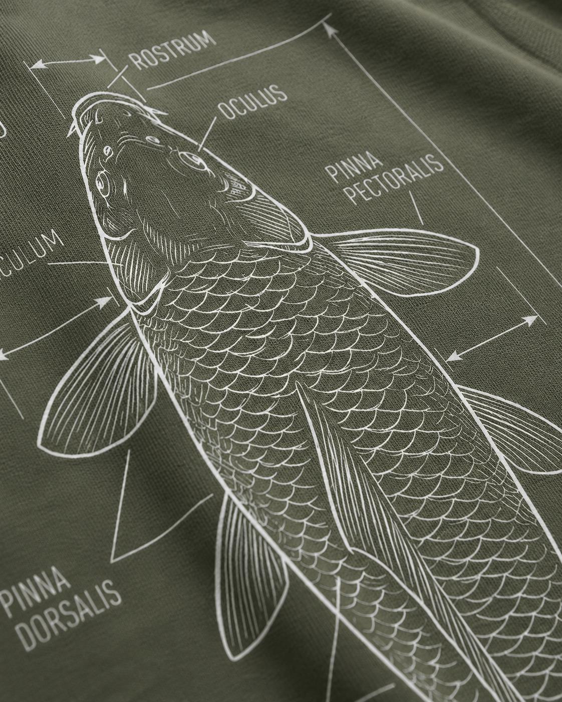 carpstylez Cyprinus Carpio Shirt – Backprint Ansicht