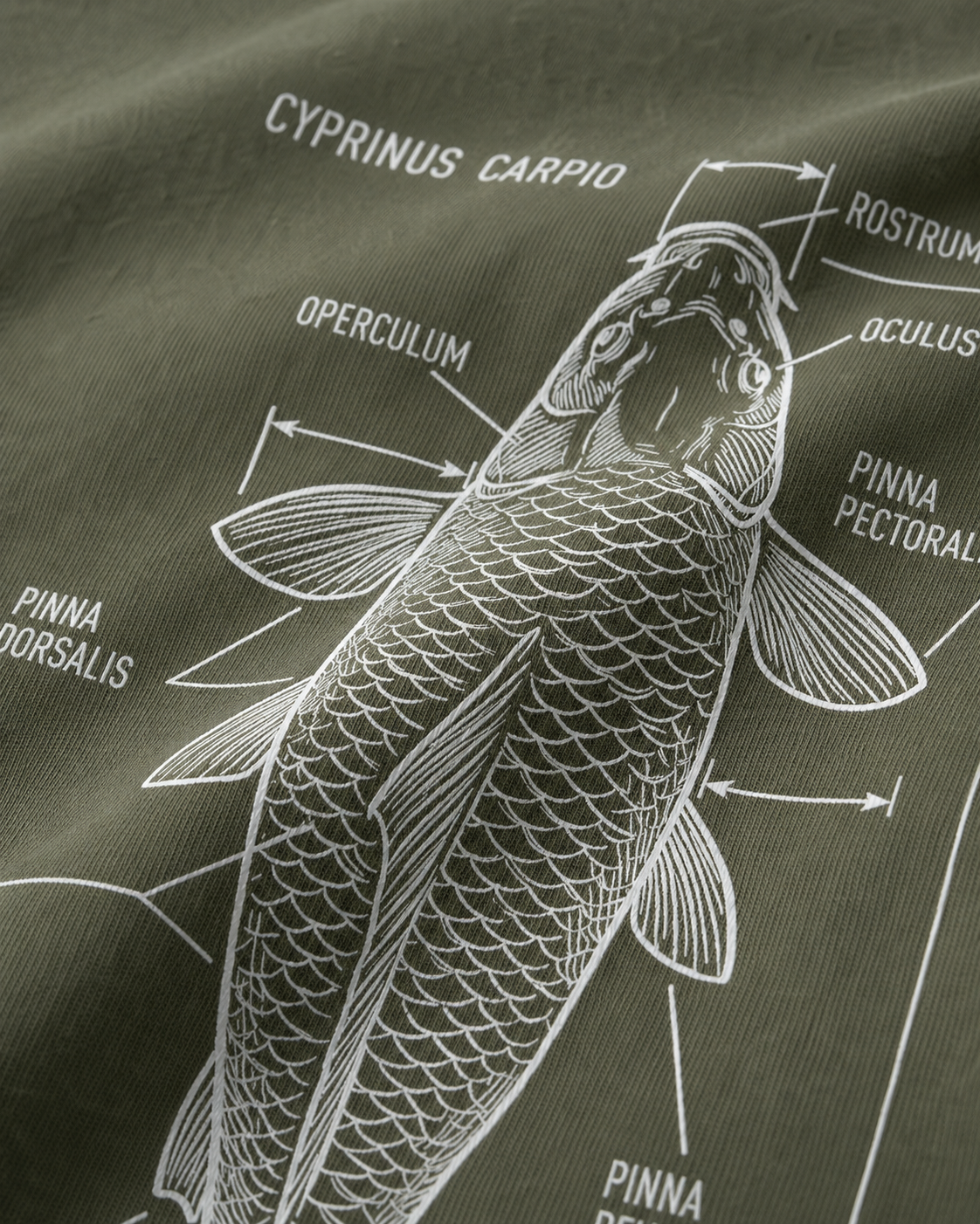 carpstylez Cyprinus Carpio Shirt – Print-Detail