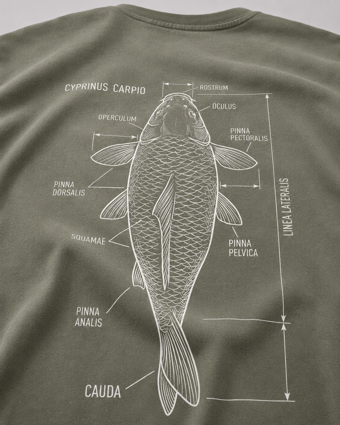carpstylez CYPRINUS CARPIO Shirt – Detail, Karpfen-Streetwear