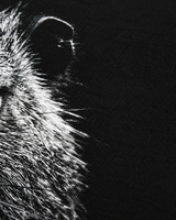 carpstylez Silt & Smoke Nutria Hoodie – Detailansicht #farbe_black