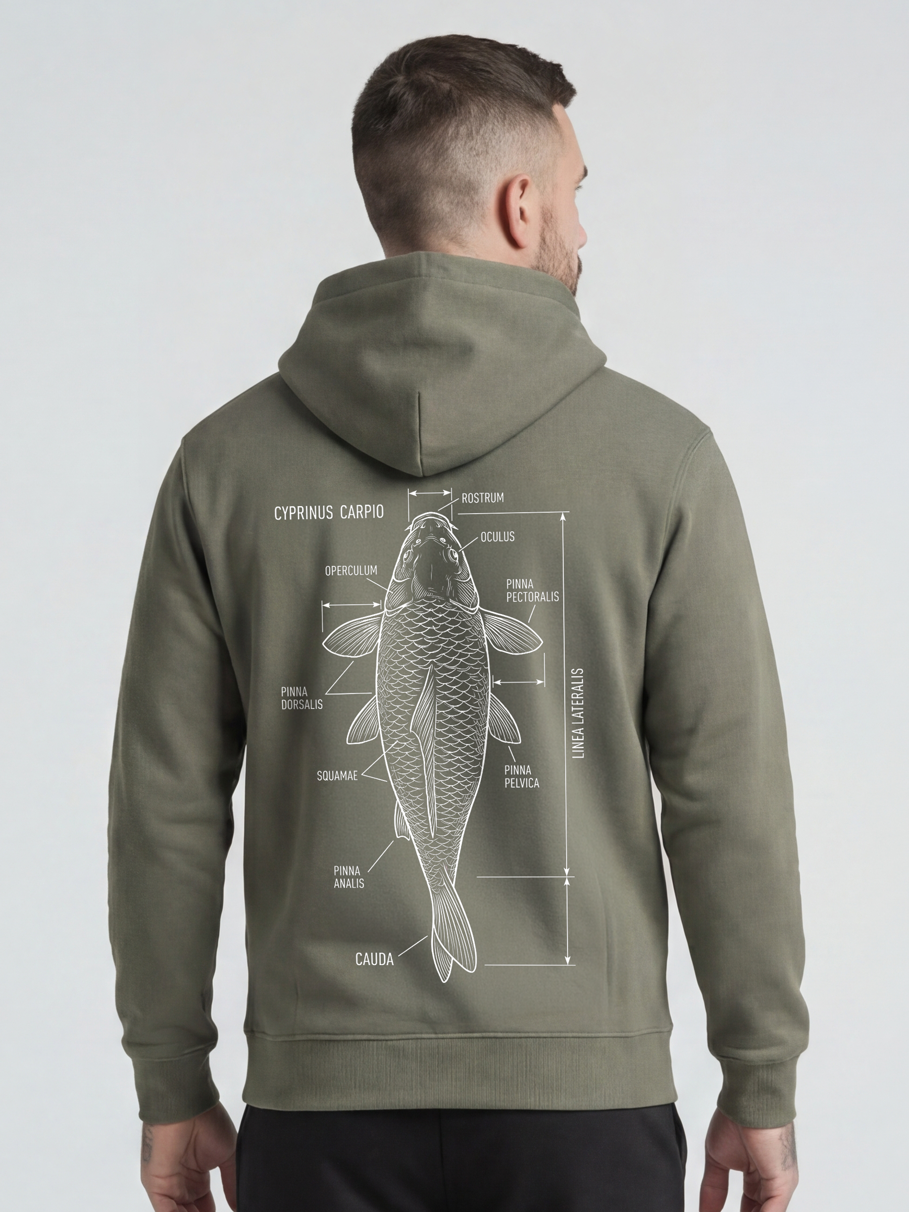 carpstylez Hoodie „Cyprinus Carpio“ khaki – Karpfen-Streetwear