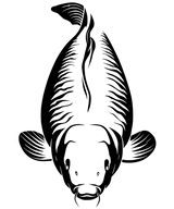 Karpfen Angeln mit KING CARP GOLD Prime Hoodie - CAST carpstylez