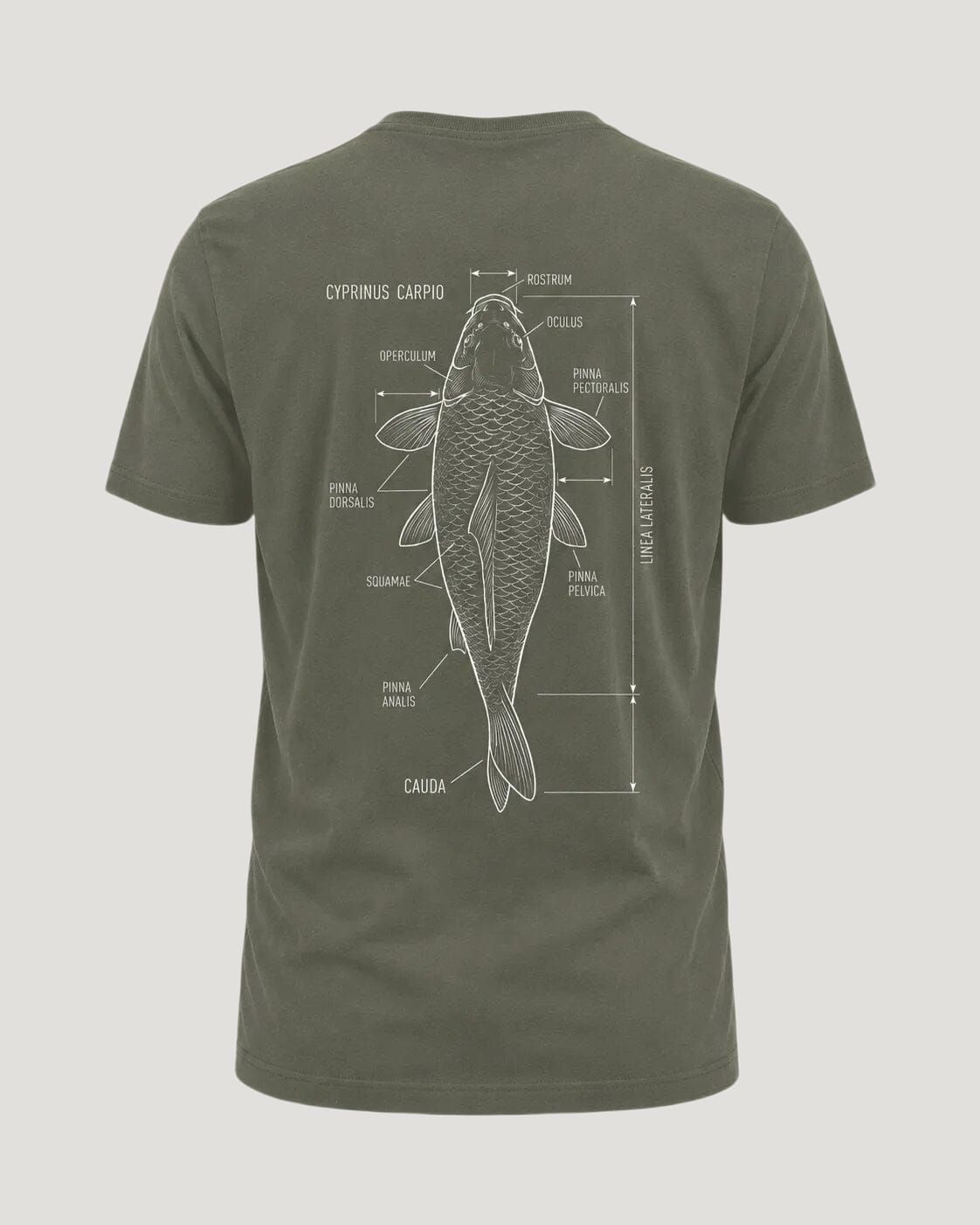 carpstylez Cyprinus Carpio Shirt – Backprint, khakifarbenes Karpfen-Streetwear Shirt #farbe_organic khaki